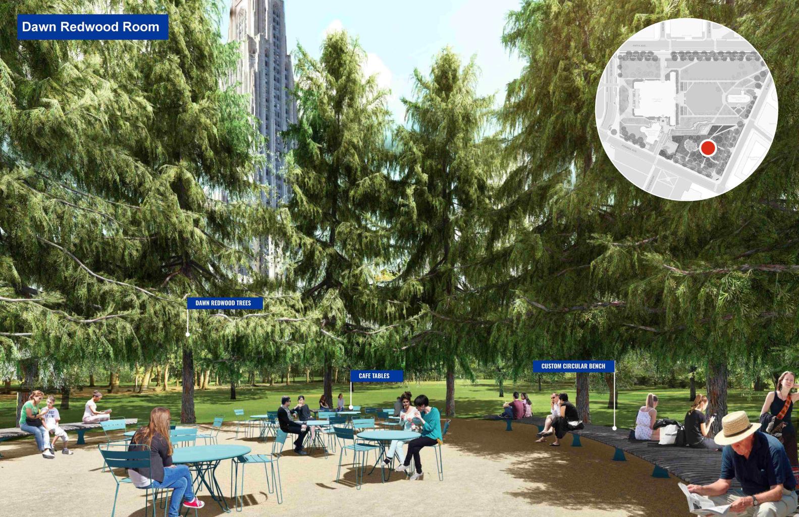 Cafe seating and benches surrounded by a tall circle of redwood trees